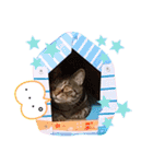 ドンノブボム⑥（個別スタンプ：27）