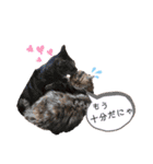 ドンノブボム⑥（個別スタンプ：31）