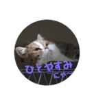 ドンノブボム⑥（個別スタンプ：35）