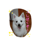 かえちゃんまん1（個別スタンプ：4）