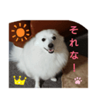 かえちゃんまん1（個別スタンプ：6）