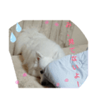かえちゃんまん1（個別スタンプ：8）