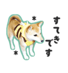 柴犬福ちゃん 敬語ひらがなスタンプ（個別スタンプ：36）