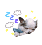 Qoo ＆ Latte 01（個別スタンプ：4）