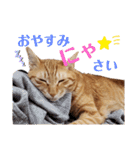 カリーです☆（個別スタンプ：4）