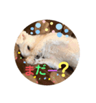 ぺいい（個別スタンプ：2）