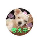 ぺいい（個別スタンプ：3）