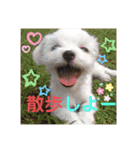 ぺいい（個別スタンプ：4）
