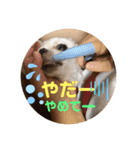 ぺいい（個別スタンプ：5）