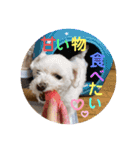 ぺいい（個別スタンプ：6）