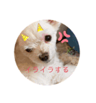 ぺいい（個別スタンプ：7）
