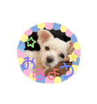 ぺいい（個別スタンプ：17）