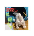 ぺいい（個別スタンプ：22）