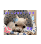 ぺいい（個別スタンプ：25）