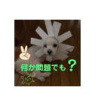 ぺいい（個別スタンプ：27）