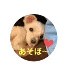 ぺいい（個別スタンプ：29）