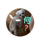 ぺいい（個別スタンプ：32）