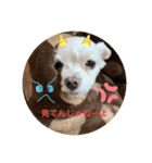ぺいい（個別スタンプ：34）