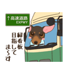 ミニピン家族の稼業（個別スタンプ：14）