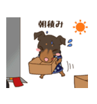 ミニピン家族の稼業（個別スタンプ：19）