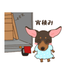 ミニピン家族の稼業（個別スタンプ：20）
