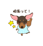 ミニピン家族の稼業（個別スタンプ：35）