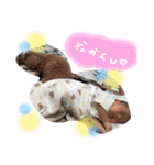 玲生たんスタンプ②（個別スタンプ：27）