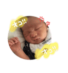 玲生たんスタンプ②（個別スタンプ：31）