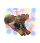玲生たんスタンプ②（個別スタンプ：32）