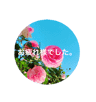 日常の言葉。大切な人に（個別スタンプ：6）
