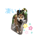 keep the time（個別スタンプ：3）