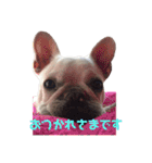 フレブルふうちゃん（個別スタンプ：5）