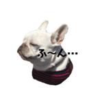 フレブルふうちゃん（個別スタンプ：8）