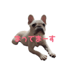フレブルふうちゃん（個別スタンプ：22）