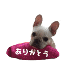 フレブルふうちゃん（個別スタンプ：23）