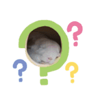 mi69family（個別スタンプ：5）