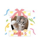 mi69family（個別スタンプ：19）