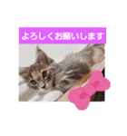 mi69family（個別スタンプ：25）