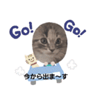 mi69family（個別スタンプ：27）