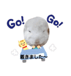 mi69family（個別スタンプ：28）