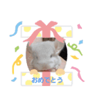 mi69family（個別スタンプ：38）