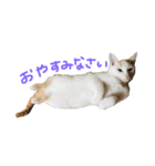 僕達（個別スタンプ：3）