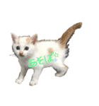僕達（個別スタンプ：5）