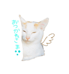 僕達（個別スタンプ：8）