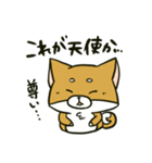 推しを得たオタ犬（個別スタンプ：1）