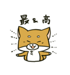 推しを得たオタ犬（個別スタンプ：3）