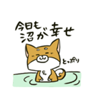 推しを得たオタ犬（個別スタンプ：7）