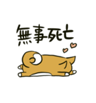推しを得たオタ犬（個別スタンプ：20）