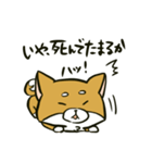 推しを得たオタ犬（個別スタンプ：21）