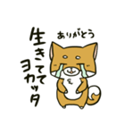 推しを得たオタ犬（個別スタンプ：22）